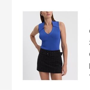 Express Silky Soft Fitted Blue V-Neck Sweater Tank Top
